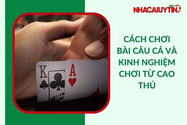 Cách Chơi Bài Câu Cá “Luôn Thắng” | Tuyệt Kỹ Từ Cao Thủ