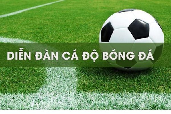 diễn đàn cá độ bóng đá diễn đàn cá độ bóng đá