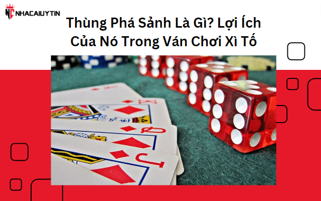 Thùng Phá Sảnh Là Gì? Vai Trò Của Thùng Phá Sảnh Trong Xì Tố
