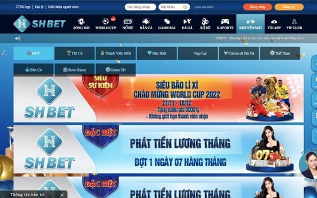 So sánh nhà cái SHBET và BK8 về chương trình thưởng VIP 7 Ưu đãi của nhà cái SHBET